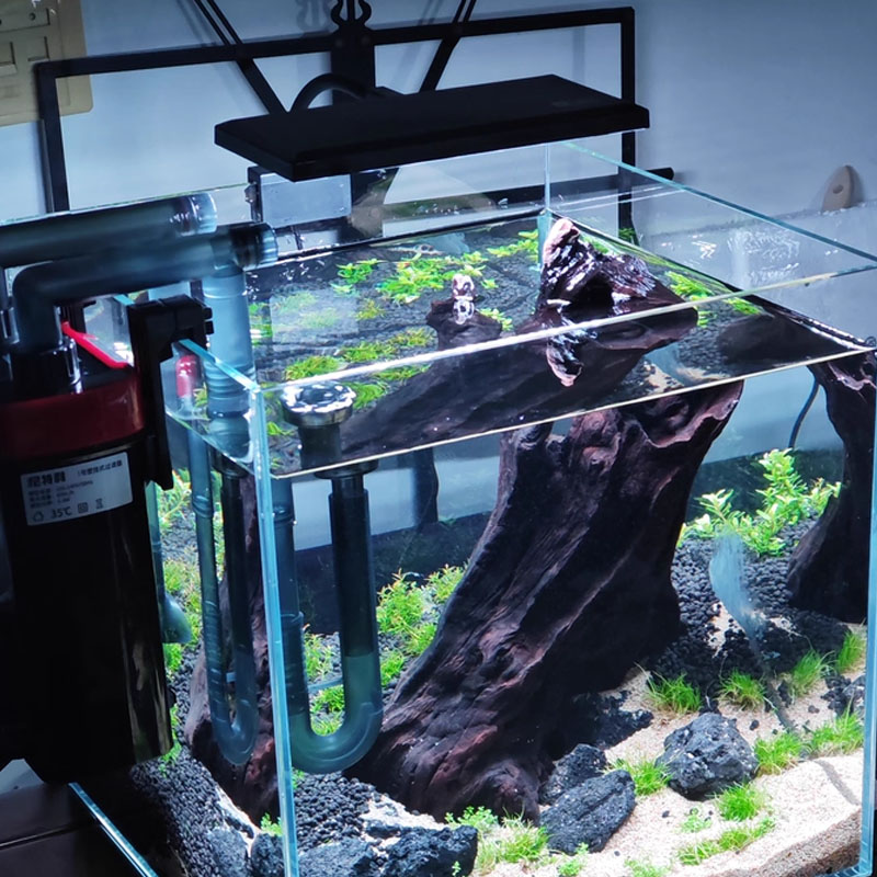 Planted Aquarium Cycling - Aquarium Fish Tank Full Spectrum LED