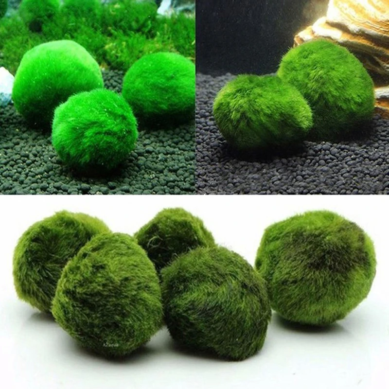 Aquarium Planted Tank Substrate - 1Pcs 3-4cm Moss Balls Live Aquarium