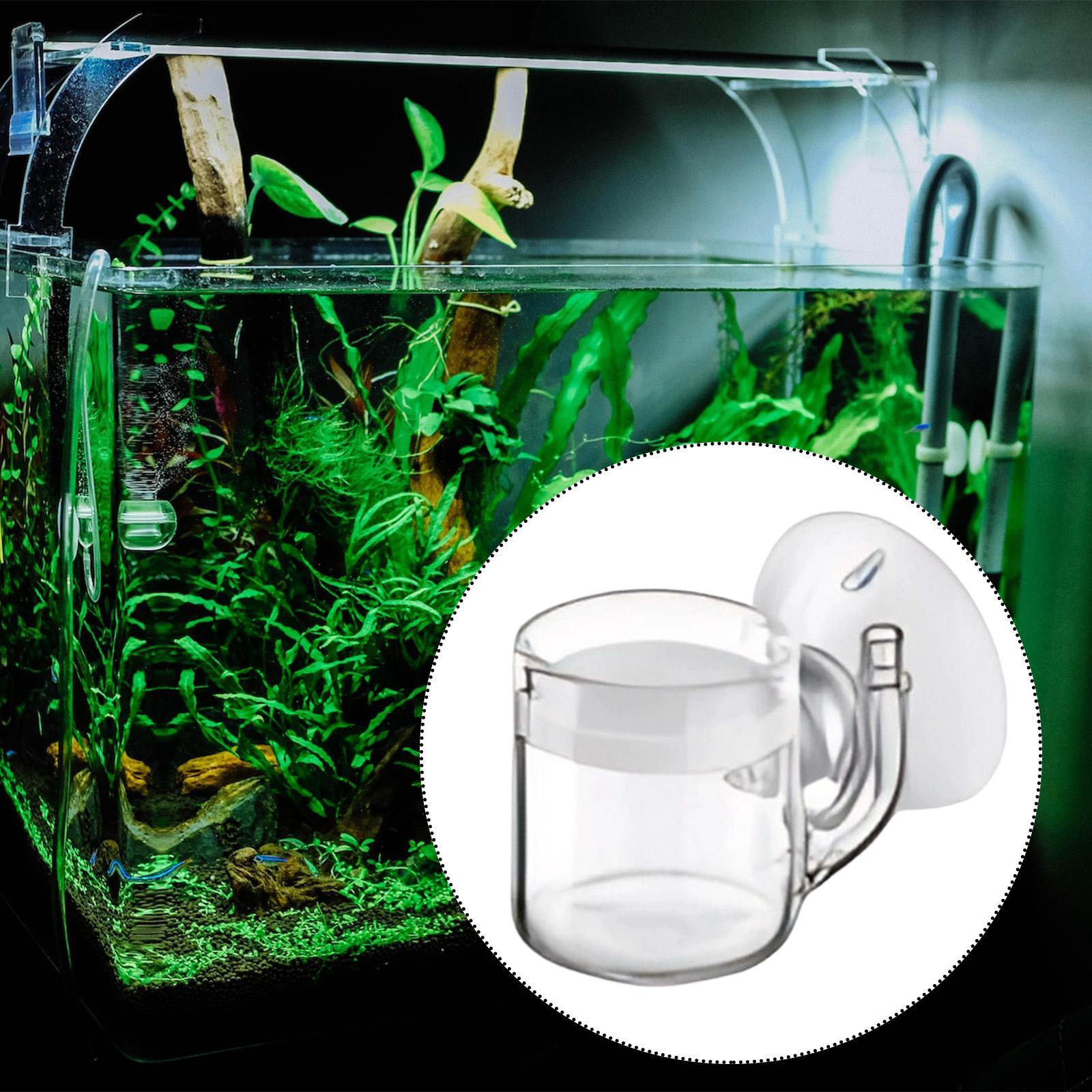Aquarium Diffuser Glass CO2 Sy - Planted Aquarium Co2 System ulasan dan harga