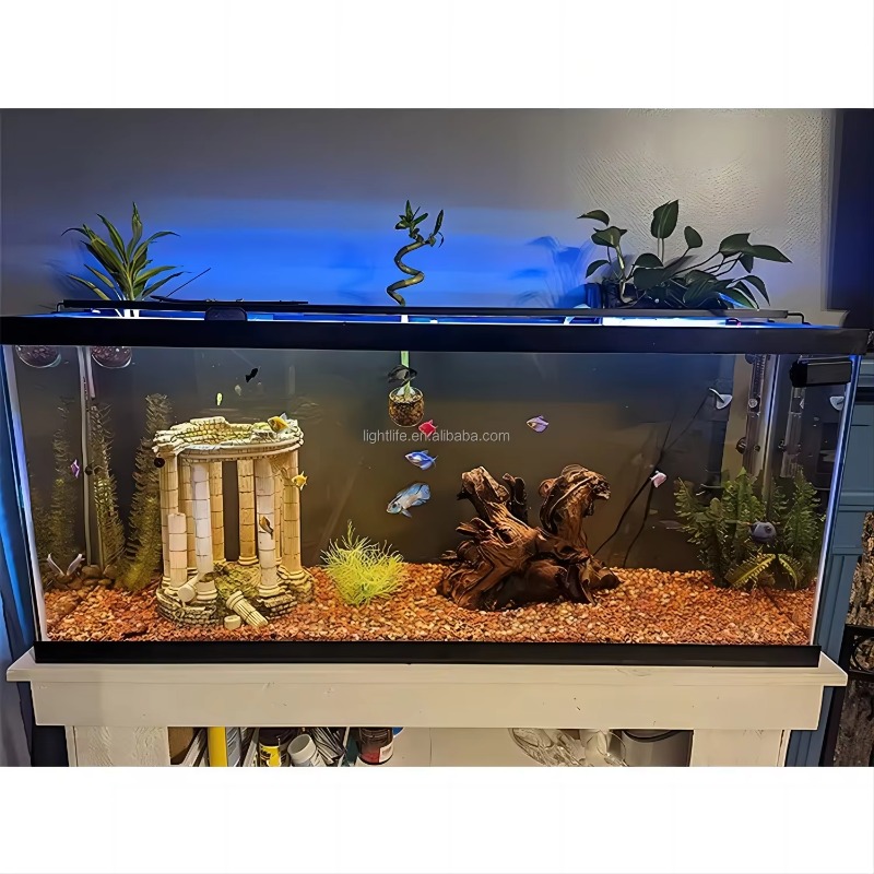 24/7 Cycle Waterproof Auto on  - Planted Aquarium Cycling ulasan dan harga