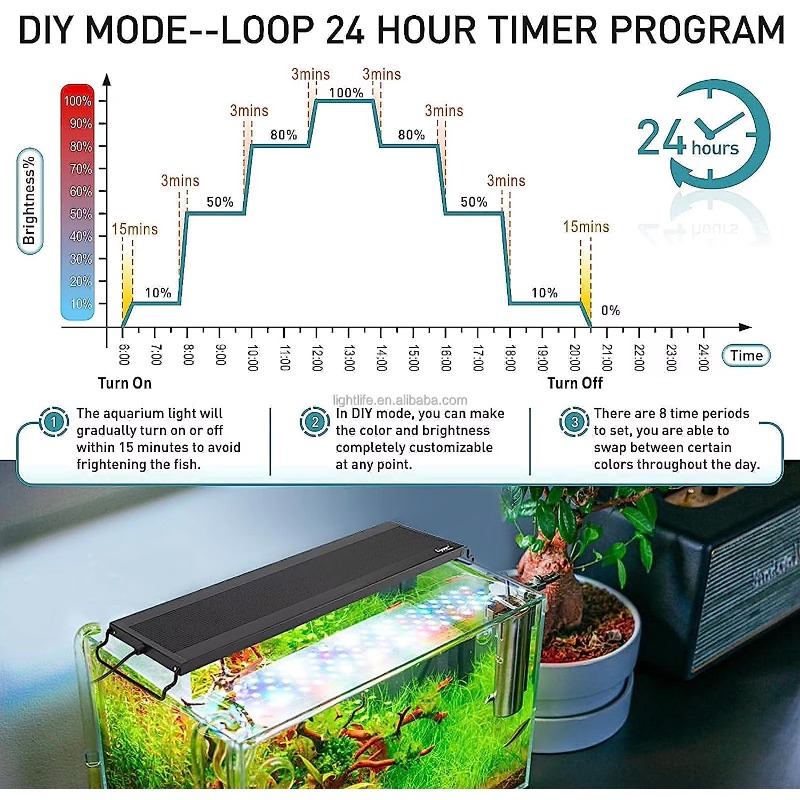 24/7 Cycle Waterproof Auto on  - Planted Aquarium Cycling ulasan dan harga