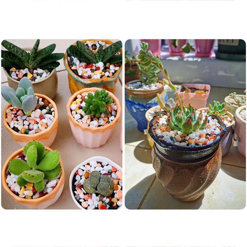 5mm Natural Aquarium Sand 200g - Aquarium Planted Tank Substrate ulasan dan harga