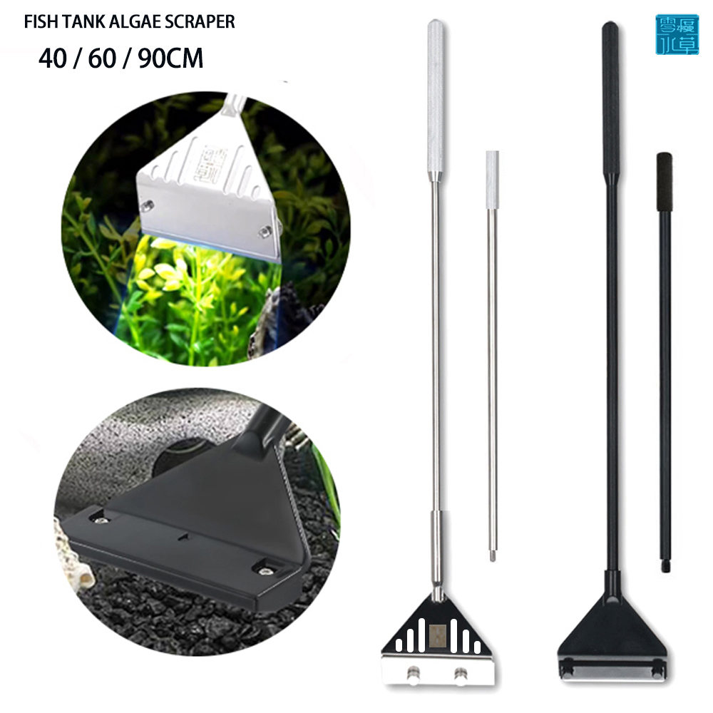 Aquarium Stainless Steel Fish  - Planted Aquarium Algae ulasan dan harga