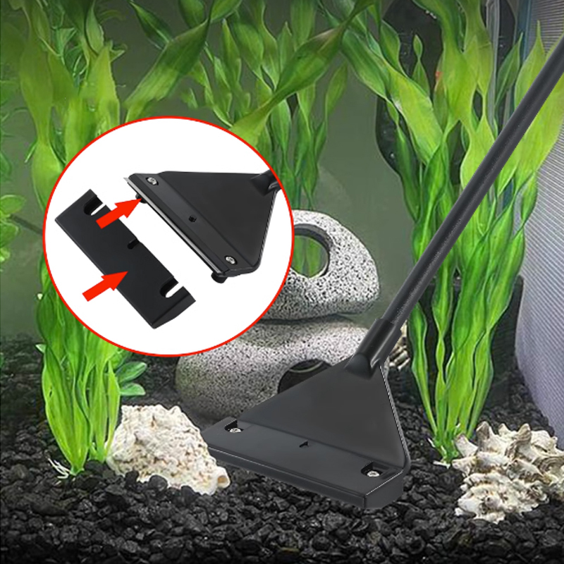 Aquarium Stainless Steel Fish  - Planted Aquarium Algae ulasan dan harga