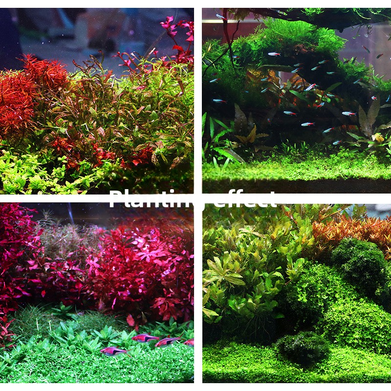SYSENCIAGA Planted Aquarium Su - Aquarium Planted Tank Substrate ulasan dan harga