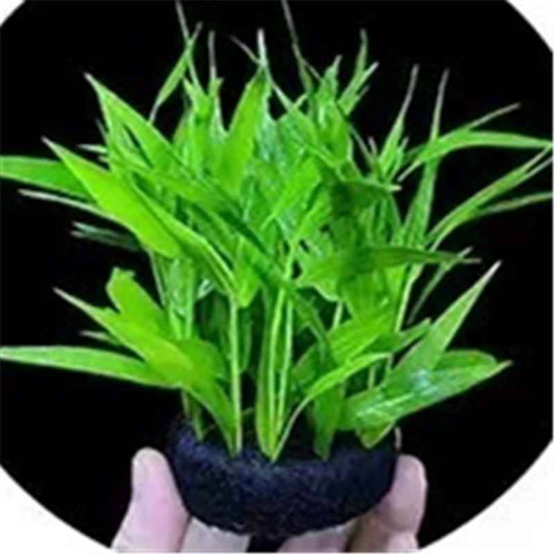 Base Planting Mat Twin Pack Bl - Aquarium Planted Tank Substrate ulasan dan harga