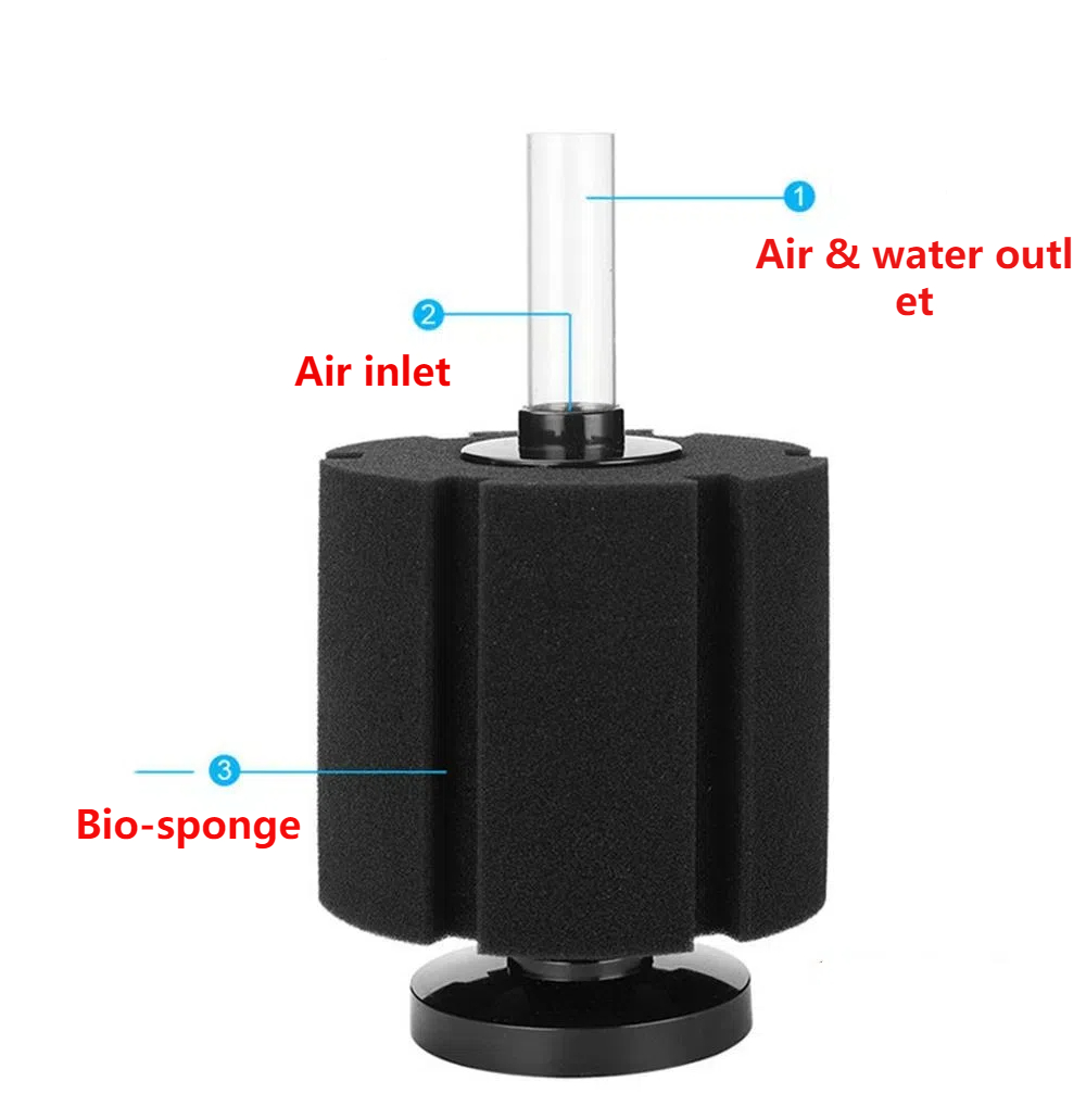 Aquarium Filter Sponge For Fis - Aquarium Planted Filter ulasan dan harga