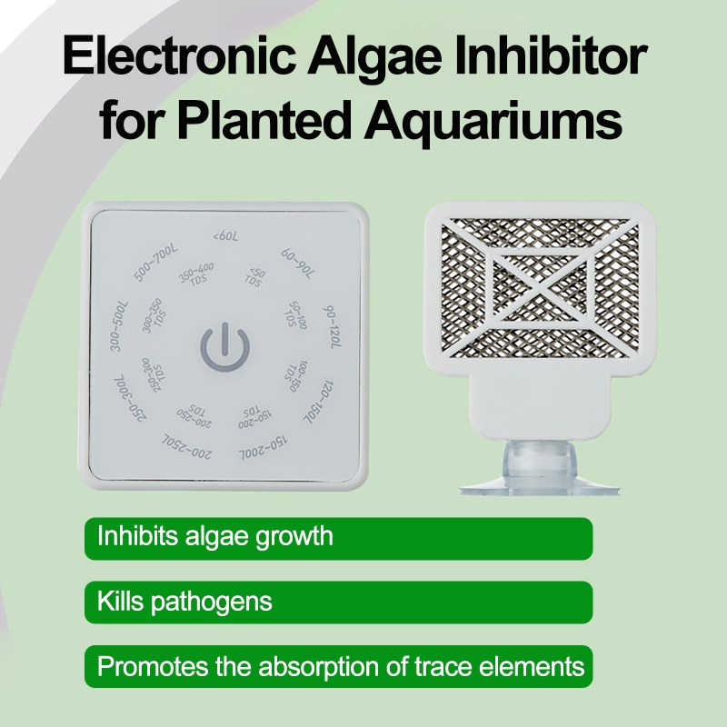 Electronic Aquarium Fish Tank  - Planted Aquarium Algae ulasan dan harga