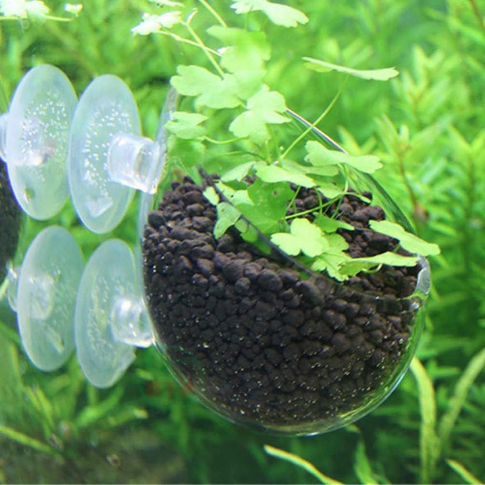 Aquarium Glass Plant Pot with  - Aquarium Planted Tank Substrate ulasan dan harga