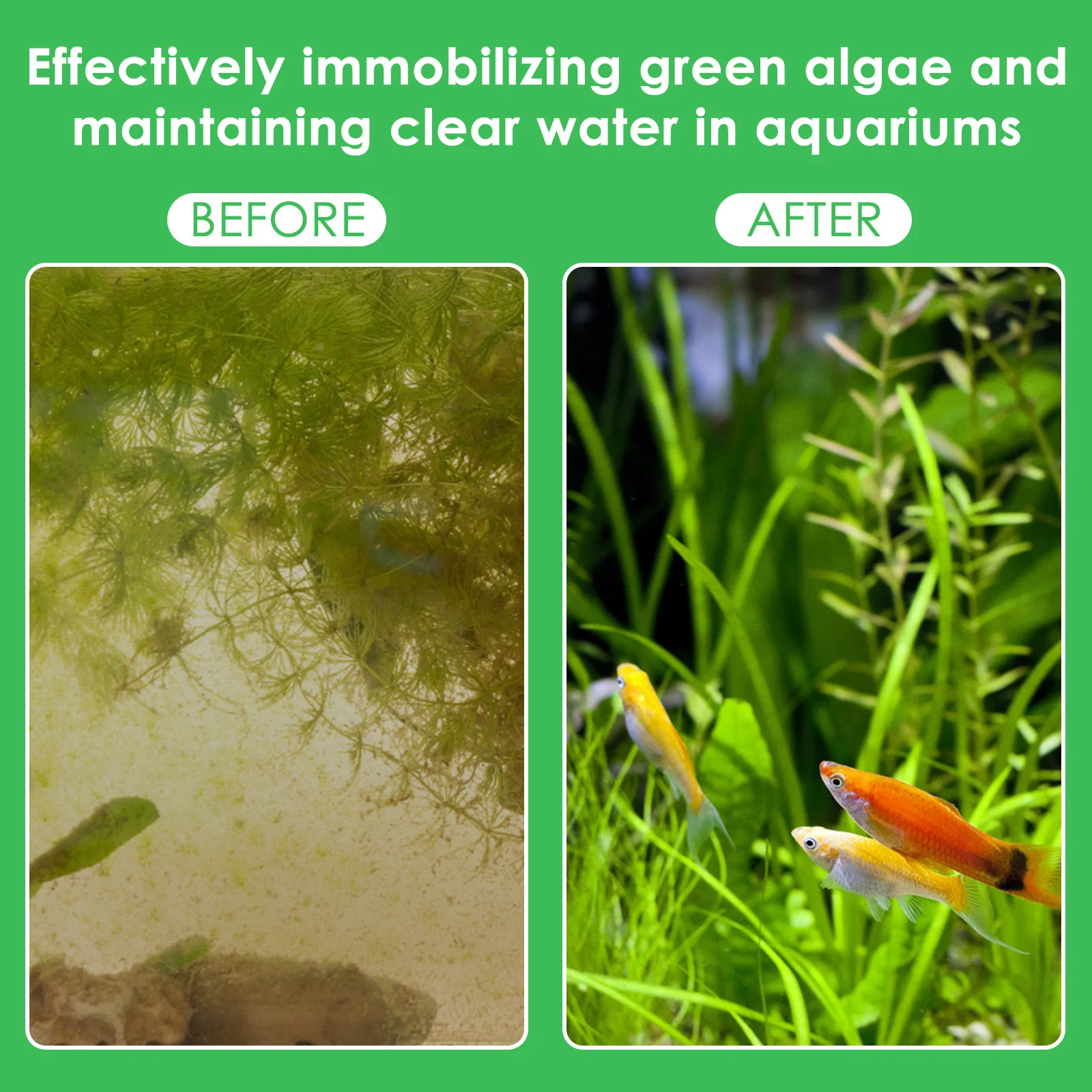50Pcs Aquarium Plant Weights F - Aquarium Planted Tank Substrate ulasan dan harga
