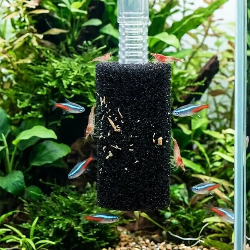 50/5x Pre Filter Sponge Aquari - Aquarium Planted Filter ulasan dan harga