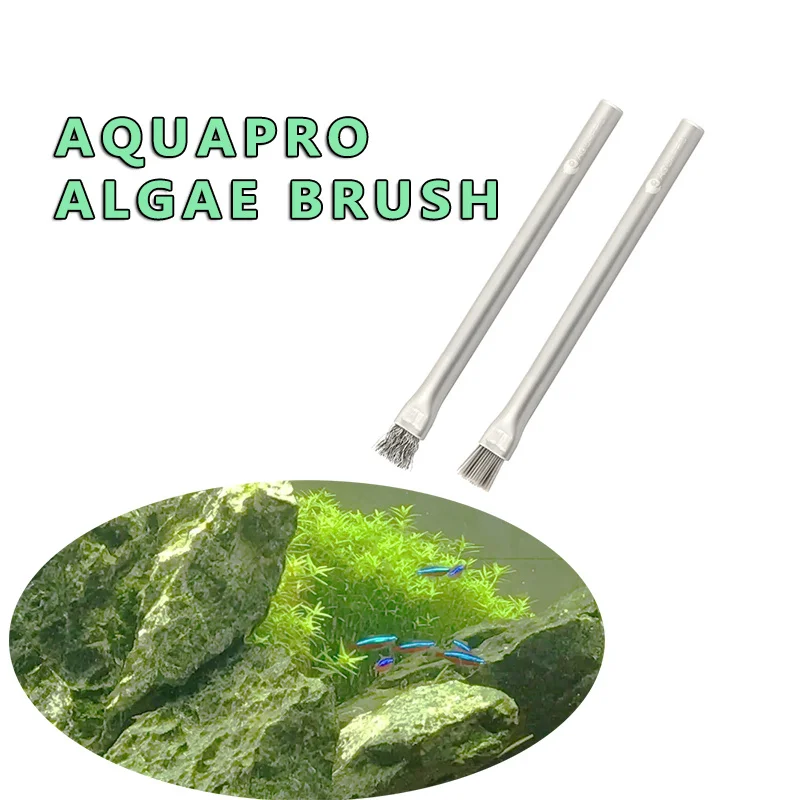 Aquapro Algae Brush Cleaning B - Planted Aquarium Algae ulasan dan harga