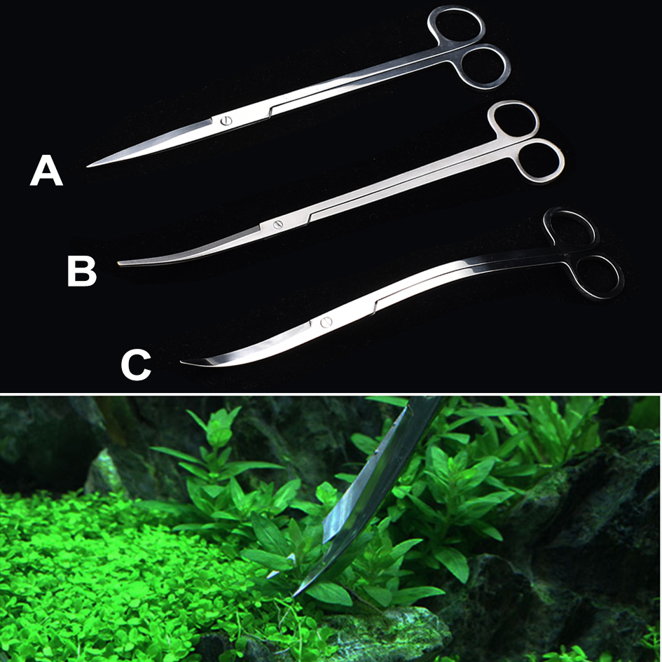 25cm Stainless Steel Aquarium  - Planted Aquarium Algae ulasan dan harga