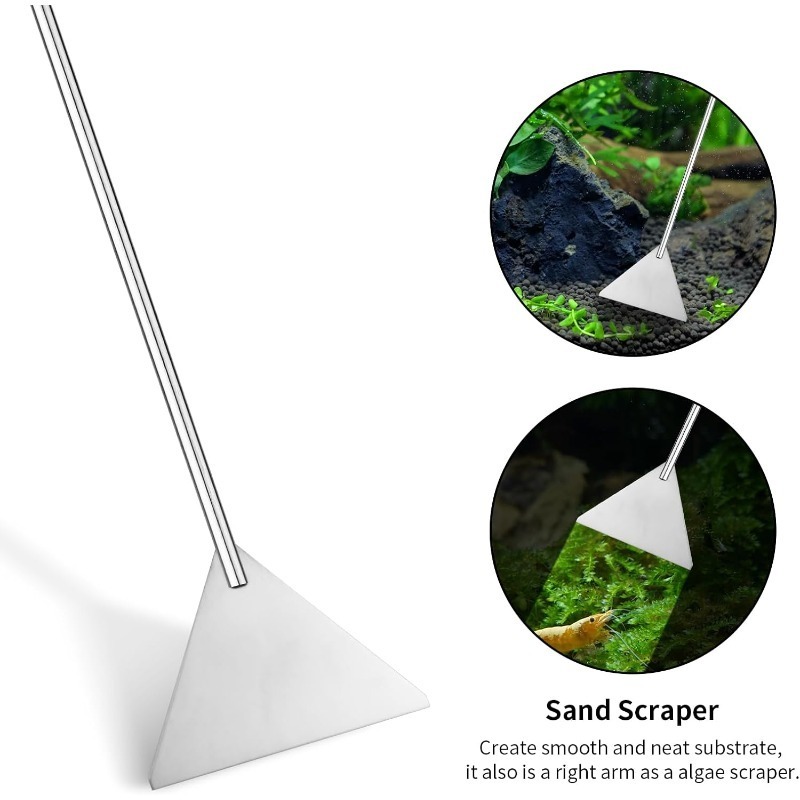 Aquarium Kit Terrarium Supplie - Planted Aquarium Algae ulasan dan harga