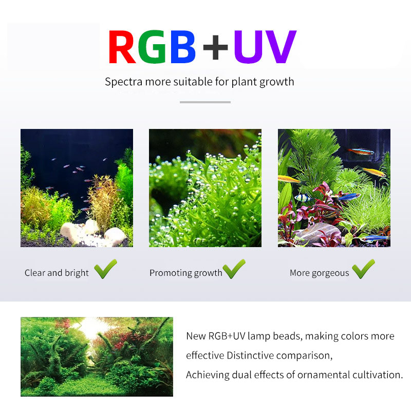 WEEK AQUA P Series Aquarium Fu - Aquarium Plant On Top ulasan dan harga