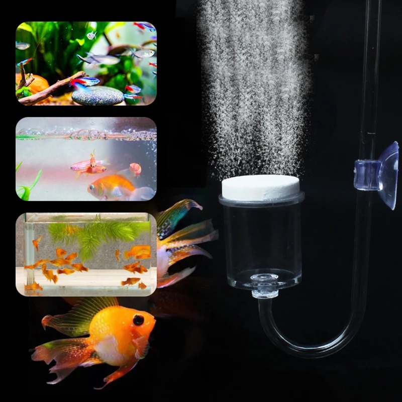4pcs Set DIY CO2 Diffuser For  - Aquarium Planted Tank Substrate ulasan dan harga