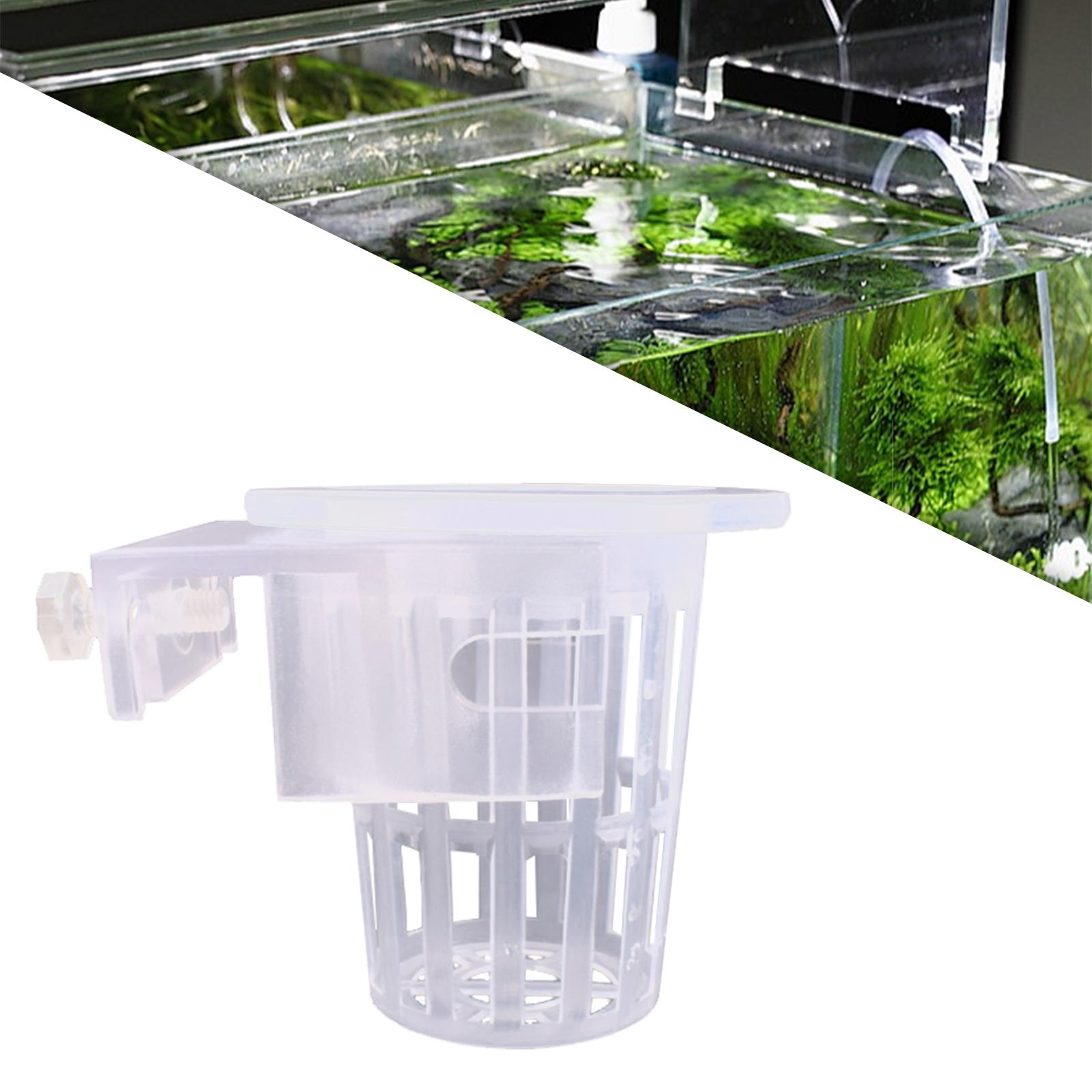 2 Pieces Aquarium Planter on T - Aquarium Plant On Top ulasan dan harga