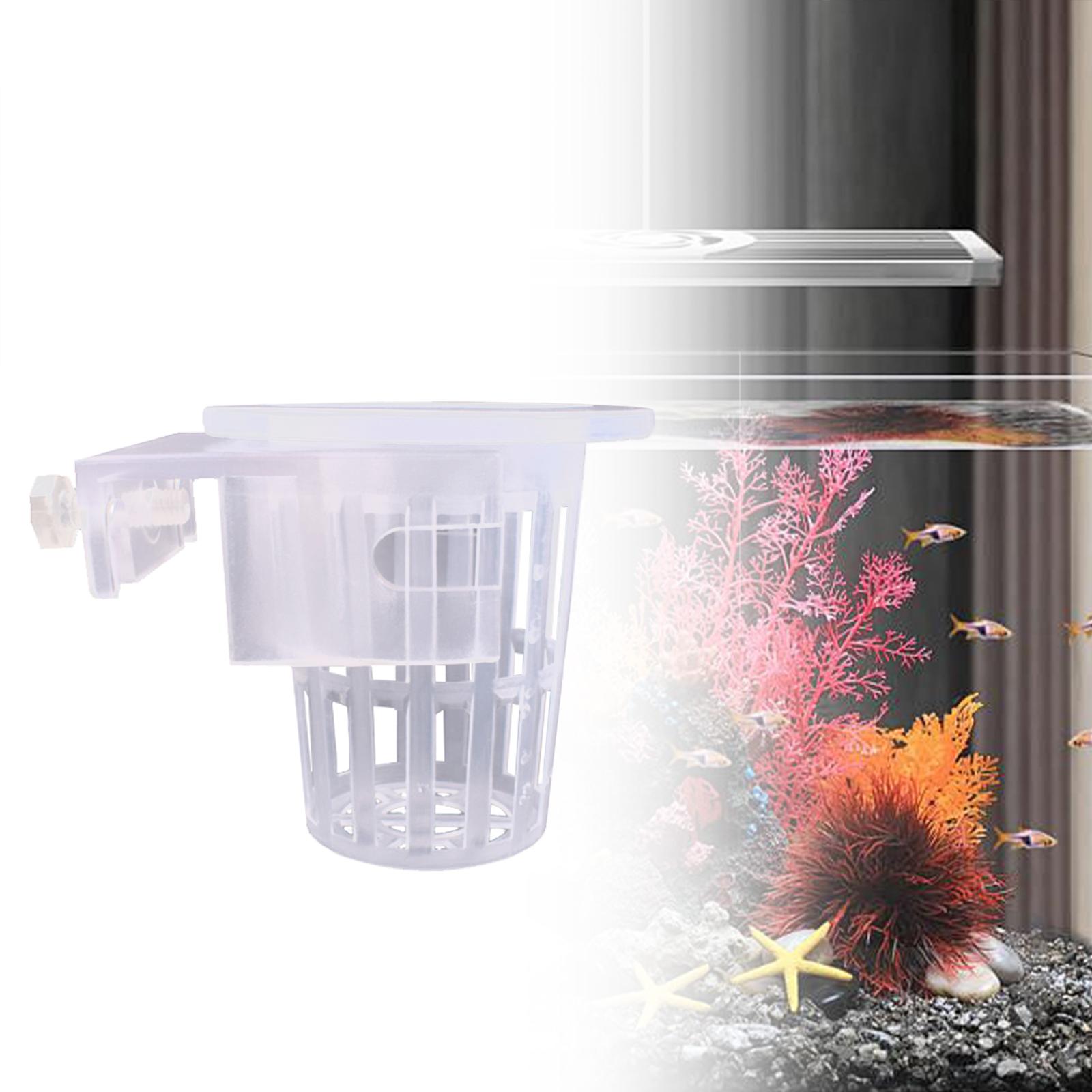 2 Pieces Aquarium Planter on T - Aquarium Plant On Top ulasan dan harga